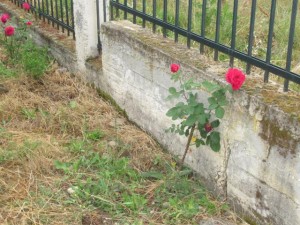image064